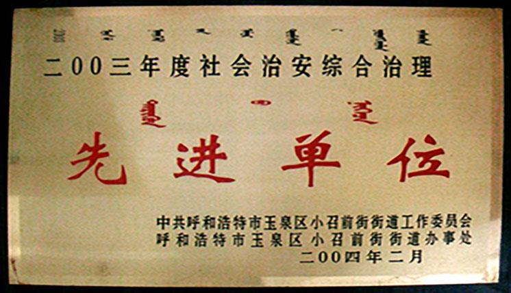 2003年度社會綜合治理先進集體